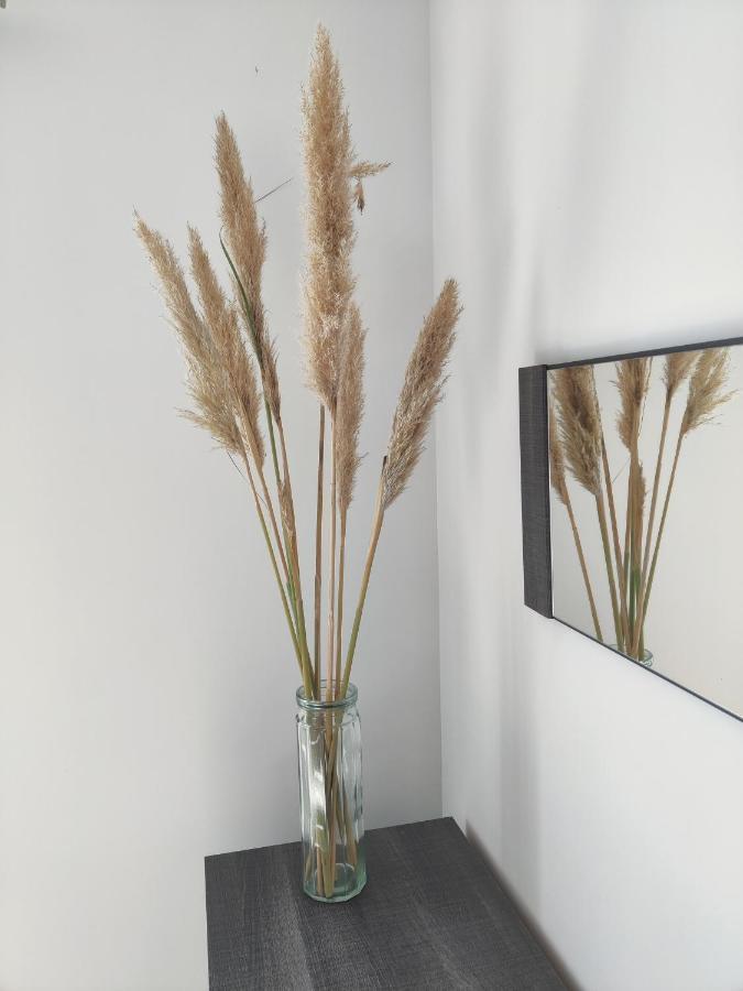 Appartement T3 Plume Hyper Centre D'Ernee Екстер'єр фото